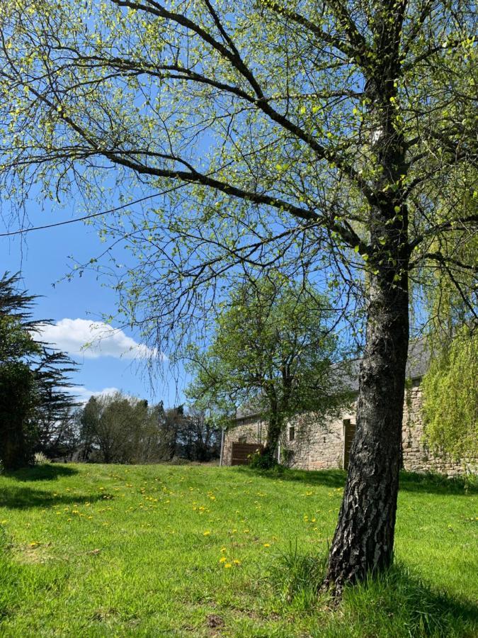 Domaine De La Blanche Hermine Plounerin Luaran gambar